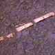 Illustration for article titled NASA claims to have found bullet proof evidence of Mars watery past